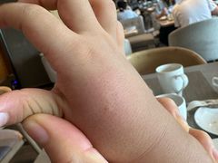 -上海佘山世茂艾美酒店