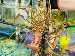 -友强·23年特色海鲜大排档(厦门店)