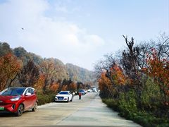 -秦岭风景区