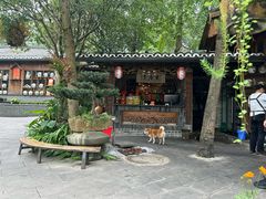 -青城甲(青城山店)