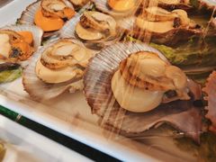 -船歌·鱼水饺青岛菜(石老人店)