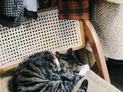 -Oolong乌龙茶古着店