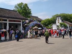 -无锡蠡湖国家湿地公园-蠡园