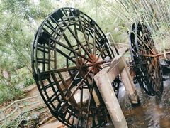 -大屏嶂森林公园
