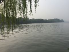 -西湖外事游船(花港观鱼码头)