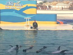 -秦皇岛乐岛海洋王国