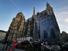 -斯蒂芬主教座堂(Stephansdom)