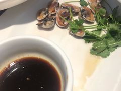毛蚶-大家发海鲜城夜排档(华山中路店)