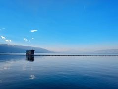 -洱海月湿地公园