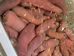 -苏大嘴蒸汽海鲜·海胆蒸饺(中山广场店)