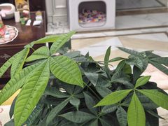 -武汉格丽雅家政 保洁清洗