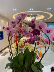 点击看大图 -丽美妍医疗美容·皮秒·立体分层抗衰
