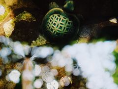 -荔湾博物馆