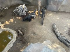 -圣地亚哥动物园
