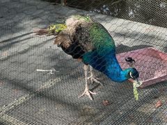 -福建鲤鱼洲酒店