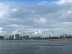 -万绿园