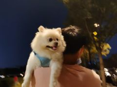 -CoCo都可(香梅花园店)