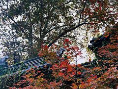 -灵谷景区