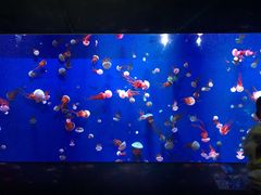 -成都浩海立方海洋公园