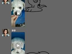-伟伟宠物医院·CT影像中心·瑞派犬猫综合性门诊(汉口总院)