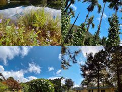 -海南热带雨林国家公园吊罗山景区