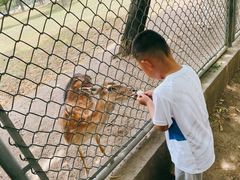 -西安秦岭野生动物园