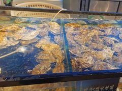 -海天盛宴潮汕蒸汽海鲜高端自助形象店