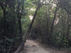 android_upload_pic-丹霞山风景名胜区