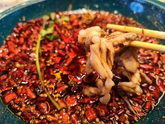 -渔香岛美蛙鱼头火锅(黔灵山公园店)