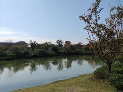 -良渚古城遗址公园