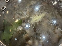 -海大大蒸汽海鲜餐厅·粤菜·特色小炒(欢乐颂店)