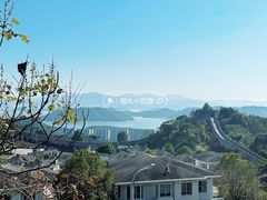 -黄贤森林公园