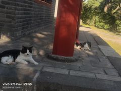-沈阳市东陵公园