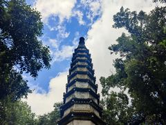 -西泠印社