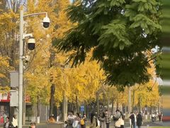 -四川大学(望江校区)