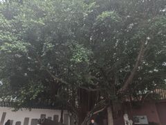 -闽粤南澳总镇府