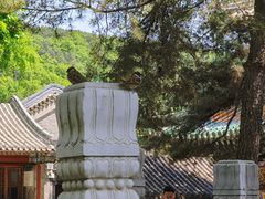 -潭柘寺景区