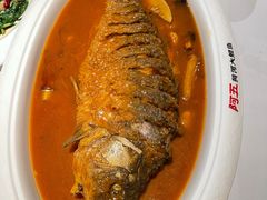 红烧黄河鲤鱼-阿五黄河大鲤鱼(英协路店)