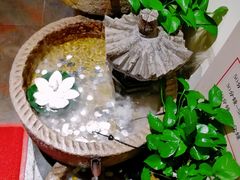 -茶花妹子云南餐厅(传媒大学店)