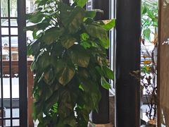 -二分八云雁阁•新晋菜大同味(长治路店)