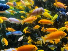 -太平洋海底世界