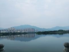 -飞来湖湿地公园