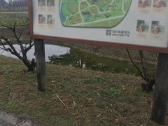 -田园东方蜜桃村的田野营地