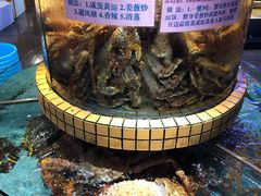-荔城生鲜盛宴(番禺旗舰店)
