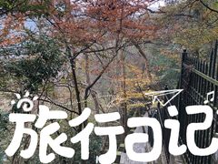 -紫金山索道-售票处