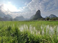 -靖西鹅泉风景区