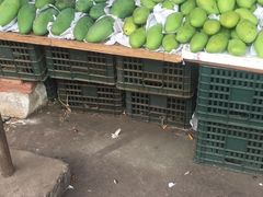 -城南综合水果批发市场(花园路店)