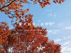 -上海辰山植物园