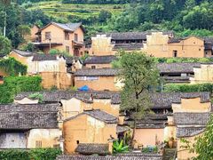 -杨家堂村