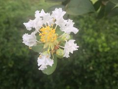 -南京维景国际大酒店(南京博物院店)